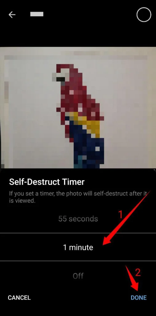 Telegram Self-Destruct Photos