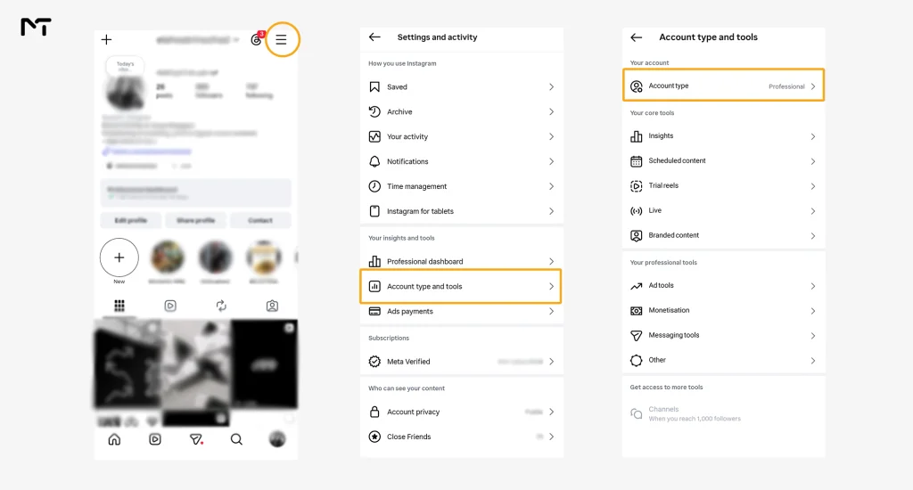 Accessing Account Type and Tools in Instagram settings to switch to professional