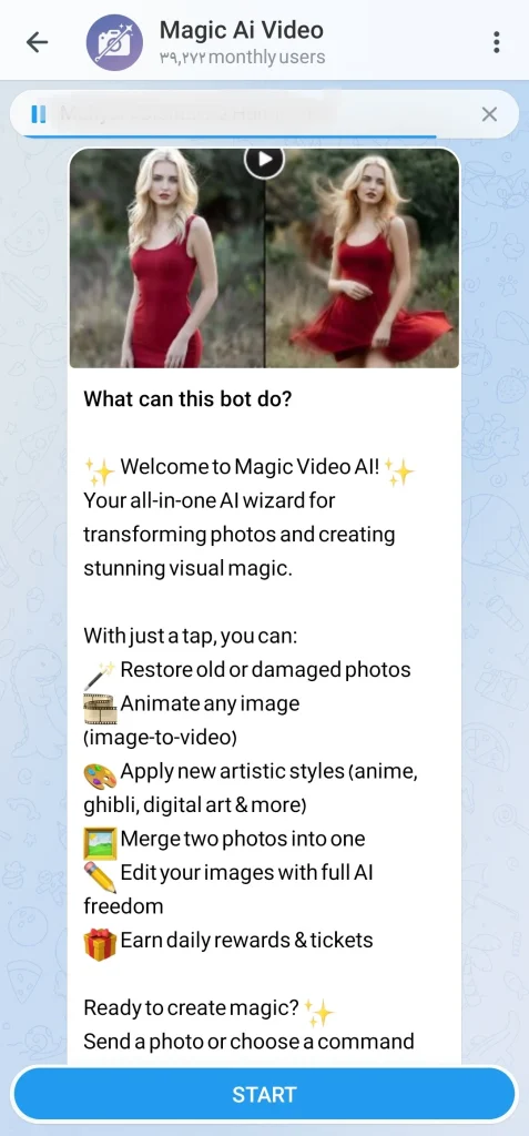 Magic Ai Video