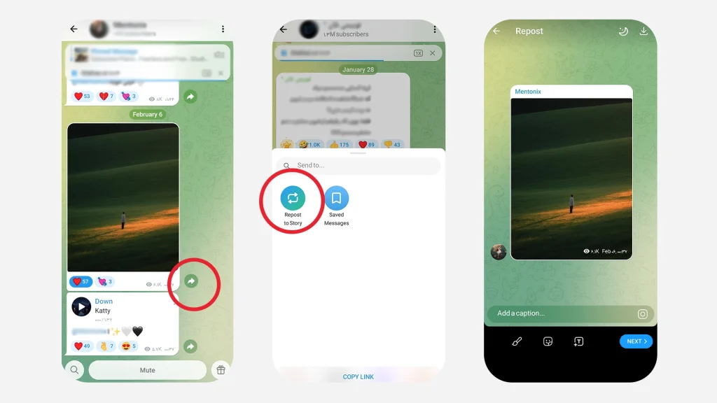 Telegram Stories Mastery