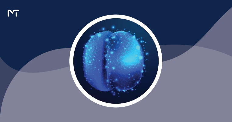 What Is Telegram Cocoon